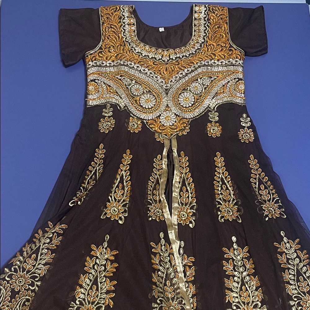 Embroidered Brown and Gold Dress (Indian)
